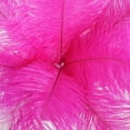 thumbnail image 6 of Efavormart 12 Pack | 13"-15" Fuchsia Natural Plume Real Ostrich Feathers Vase Centerpiece, 6 of 10