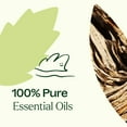 thumbnail image 5 of Plant Therapy Wood Spice Essential Oil Blend 10 mL (1/3 oz) 100% Pure, Undiluted, Natural Aromatherapy, 5 of 8
