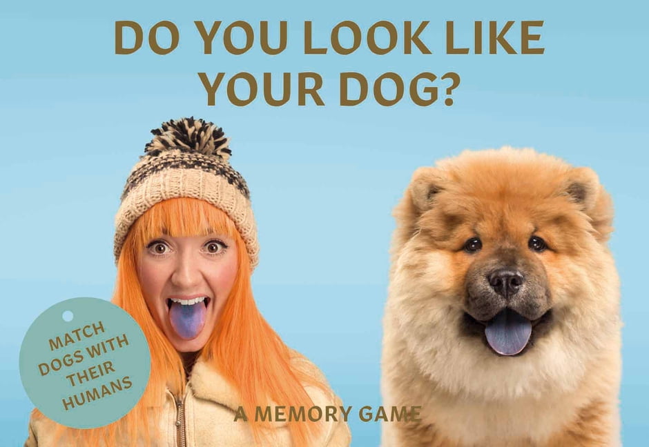 Do You Look Like Your Dog? Match Dogs with Their Humans A Memory