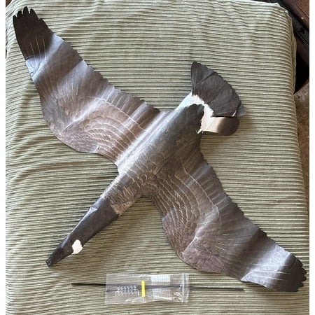 OUTLAW DECOY CANADIAN GOOSE WINDSOCK DECOY KITE 🇺🇸 USA MADE 🇺🇸