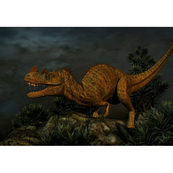 Ceratosaurus was a large predatory dinosaur from the Late Jurassic Period Poster Print (17 x 11)