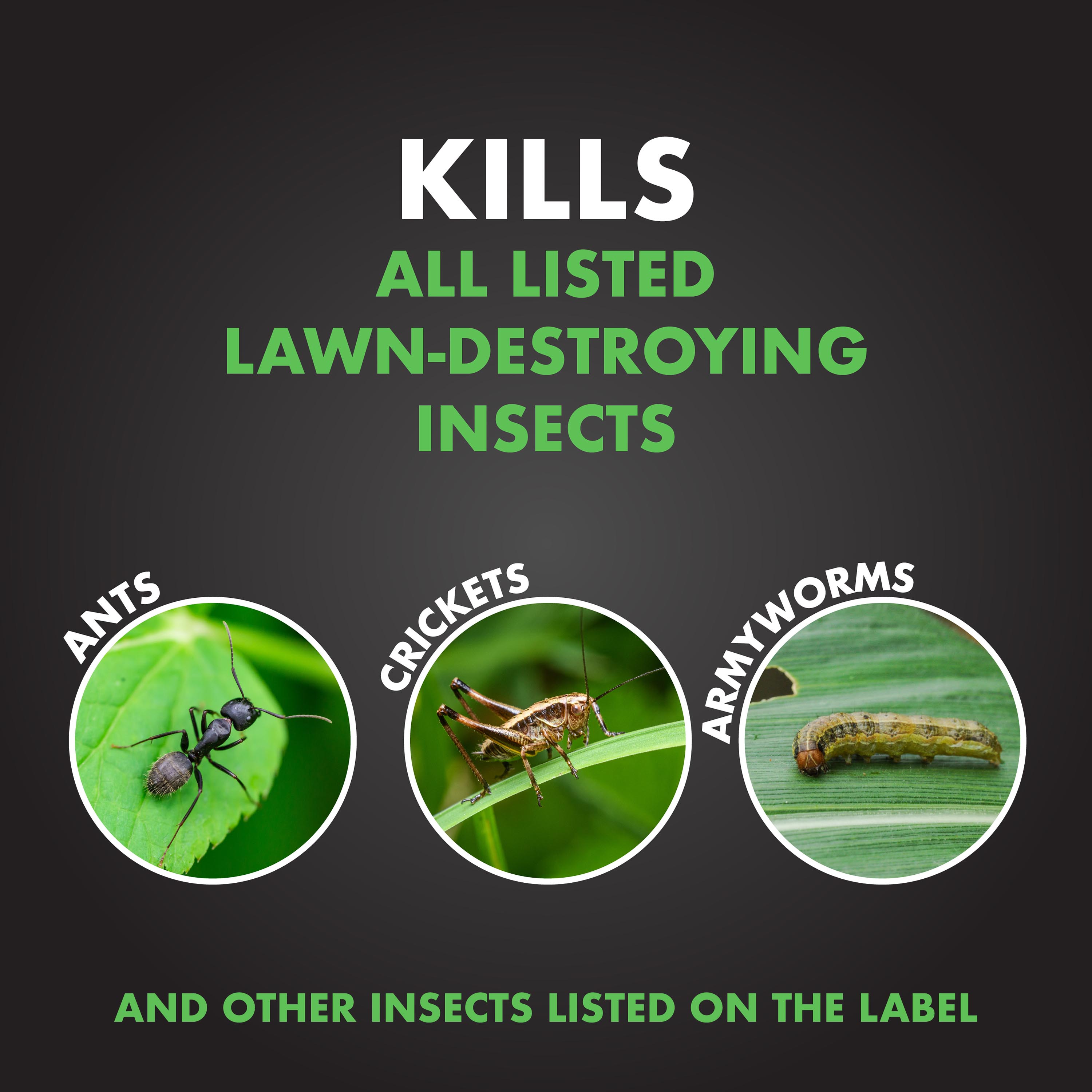 Spectracide Triazicide Insect Killer for Lawns, Granules Kill Listed Lawn-Damaging Insects, 20 lbs. - image 4 of 15