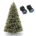 thumbnail image 1 of National Tree Company Downswept Douglas 7 Foot Christmas Tree & Color Lights, 1 of 12