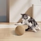 thumbnail image 5 of Juguete Interactivo de Plumas para Gatos con Bola de Sisal - Varita Oscilante y Tabla Rascadora 2 En 1 para Gatos de Interior - Diseño Duradero y Resistente a Las Mordeduras para Aliviar El Aburrimie, 5 of 6