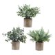 thumbnail image 5 of Plantas artificiales en maceta Strade Fareast Limited 3 piezas, 5 of 5