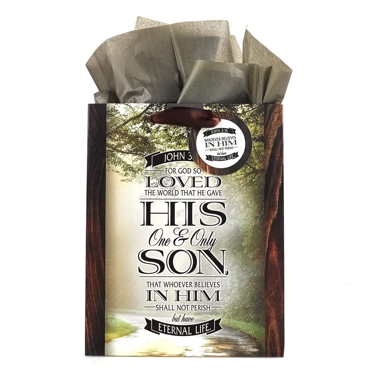 Christian Art Gifts Scenic Nature Gift Bag Set Whoever Believes in