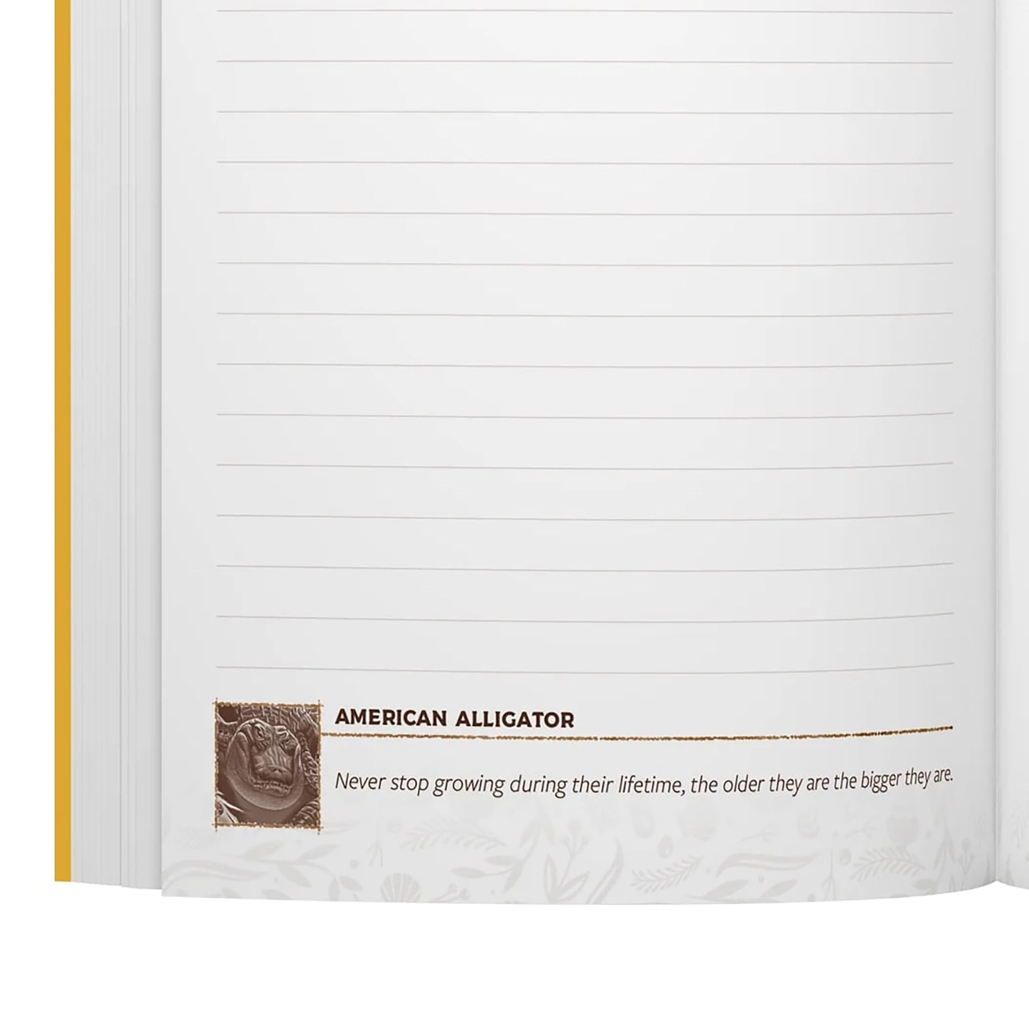 Keystone: North America Premium Field Journal, Board Game Accessory, Vegan Leather