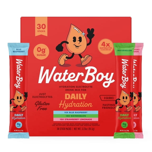 Waterboy Sugar-Free Electrolyte Drink Mix Variety Pack – Daily Hydration, 30 ct | Zero Sugar, Keto & Vegan Friendly | High Electrolytes