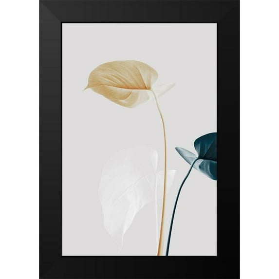 Artographie Studio 13x18 Black Modern Framed Museum Art Print Titled - Monstera Creative 20