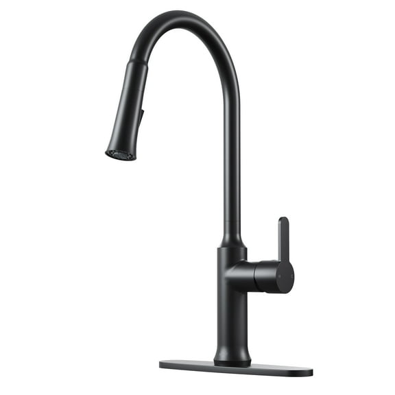 CASAINC Single Handle Kitchen Faucet with Pull Out Sprayer, Deck Mounted, Matte Black
