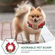 thumbnail image 2 of KAKOWELY Adorable bufanda para mascotas con elementos navideños, cálida bufanda para perros y gatos, accesorio decorativo para gatitos., 2 of 5
