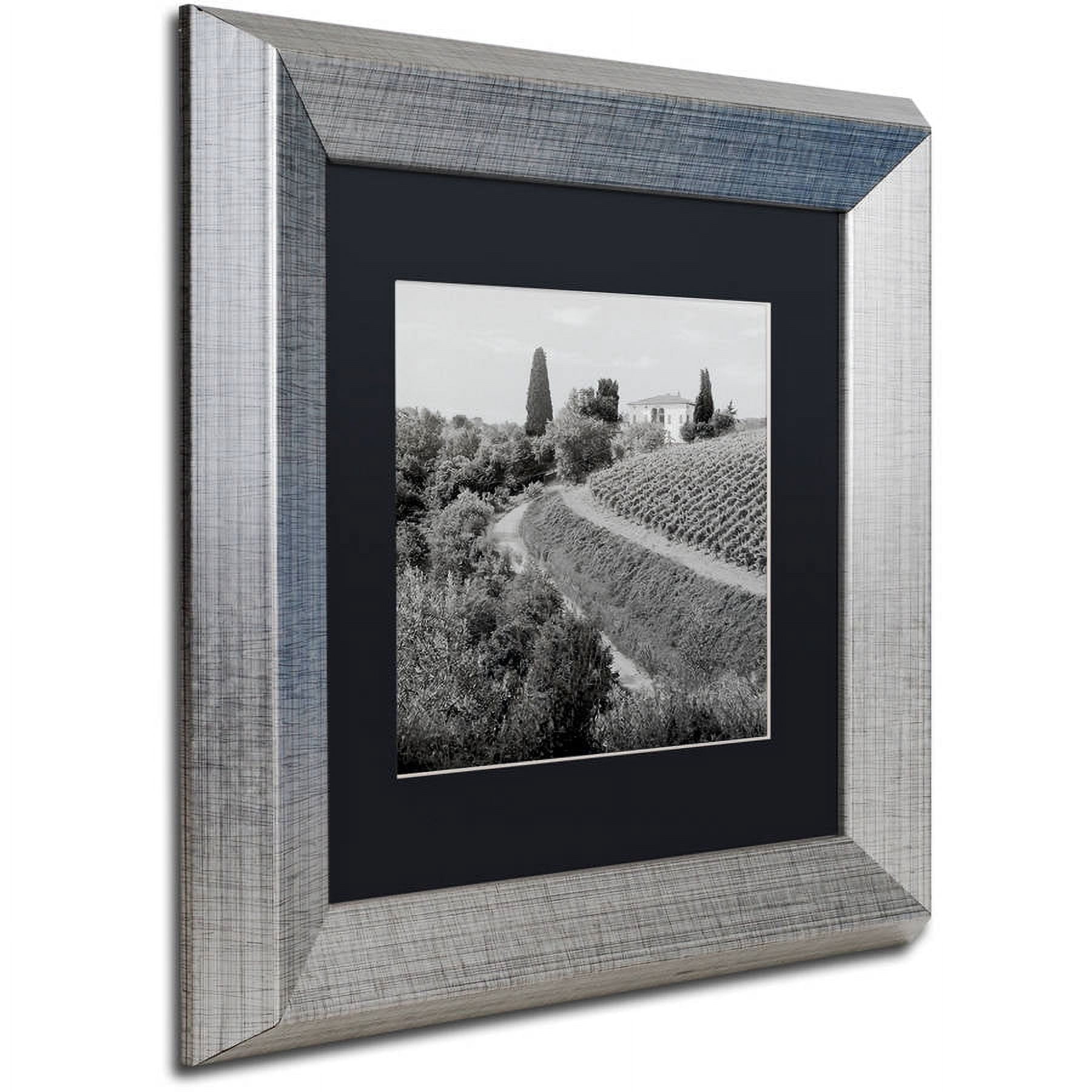 Trademark Fine Art "Tuscany V" Canvas Art by Alan Blaustein, Black Matte, Silver Frame