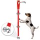 thumbnail image 1 of Buscador de Regalos Timbres para Perros onlyliua, 1 of 6
