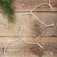 thumbnail image 2 of Northlight 10 Micro Concave LED Wide Angle Christmas Lights, 2 of 3