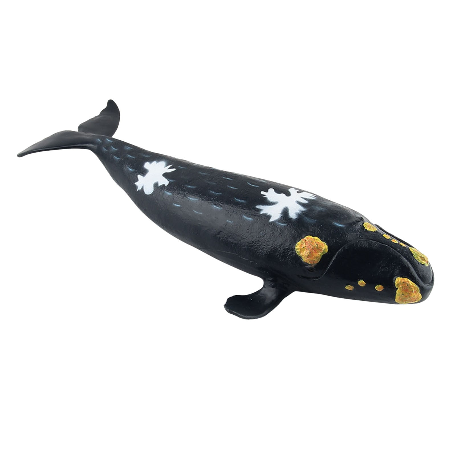 Soft Rubber Stuffed Cotton Science And Education Marine Animal Ornaments plastic / () Blue | Walmart Canada Soft Rubber Stuffed Cotton Science And Education Marine Animal Ornaments plastic / () Blue | Walmart Canada