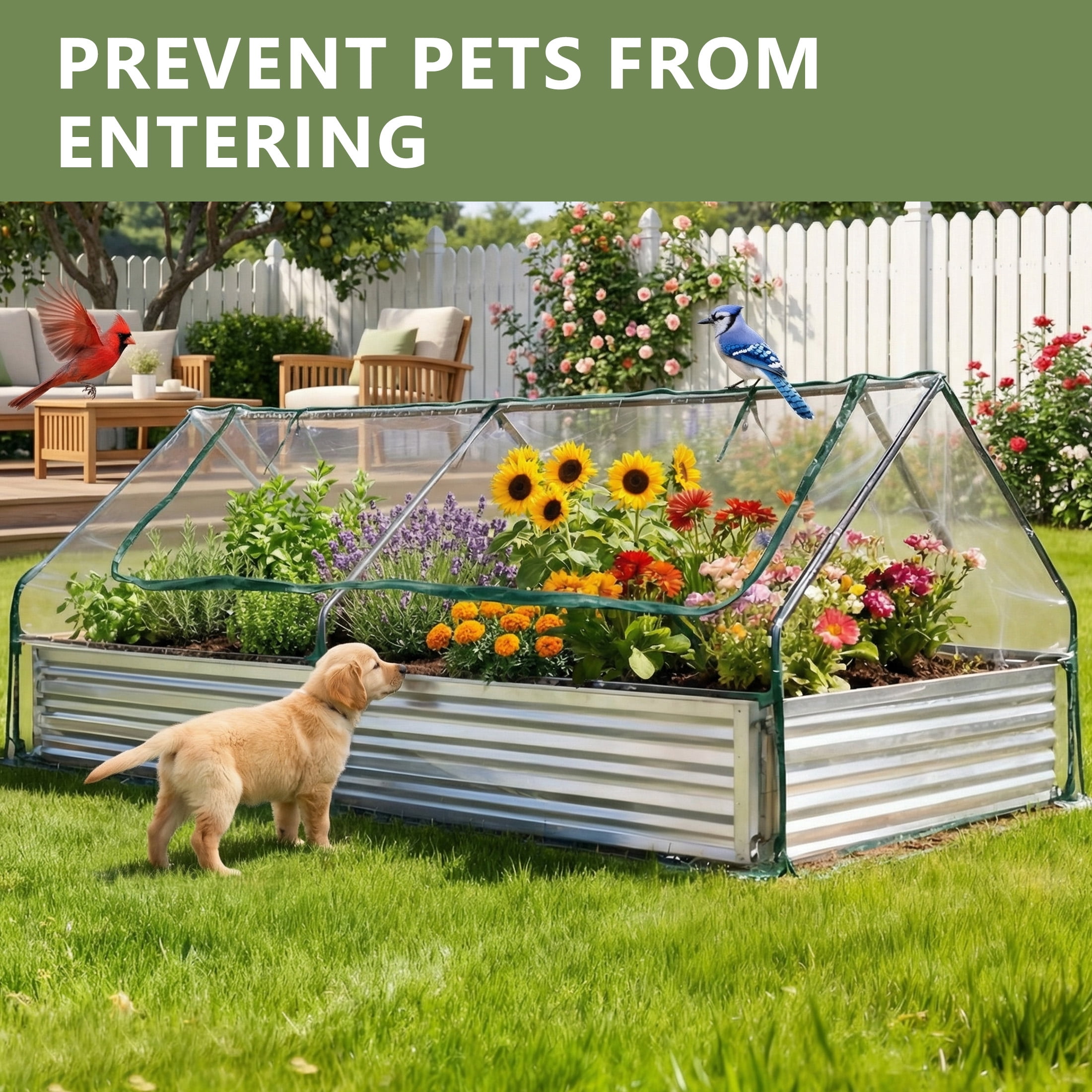 EDX 8 ft. x 4 ft. x 1 ft. Mini Greenhouse with 2 Zipper Doors & Water Resistant UV Protected ,for Flowers, vegetables and herbs ,Transparent