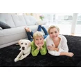 thumbnail image 4 of Lochas Fluffy Shag Area Rugs Furry Soft Rugs for Living Room Bedroom Indoor Decor Nursery Carpet, 4'X6',Black, 4 of 6