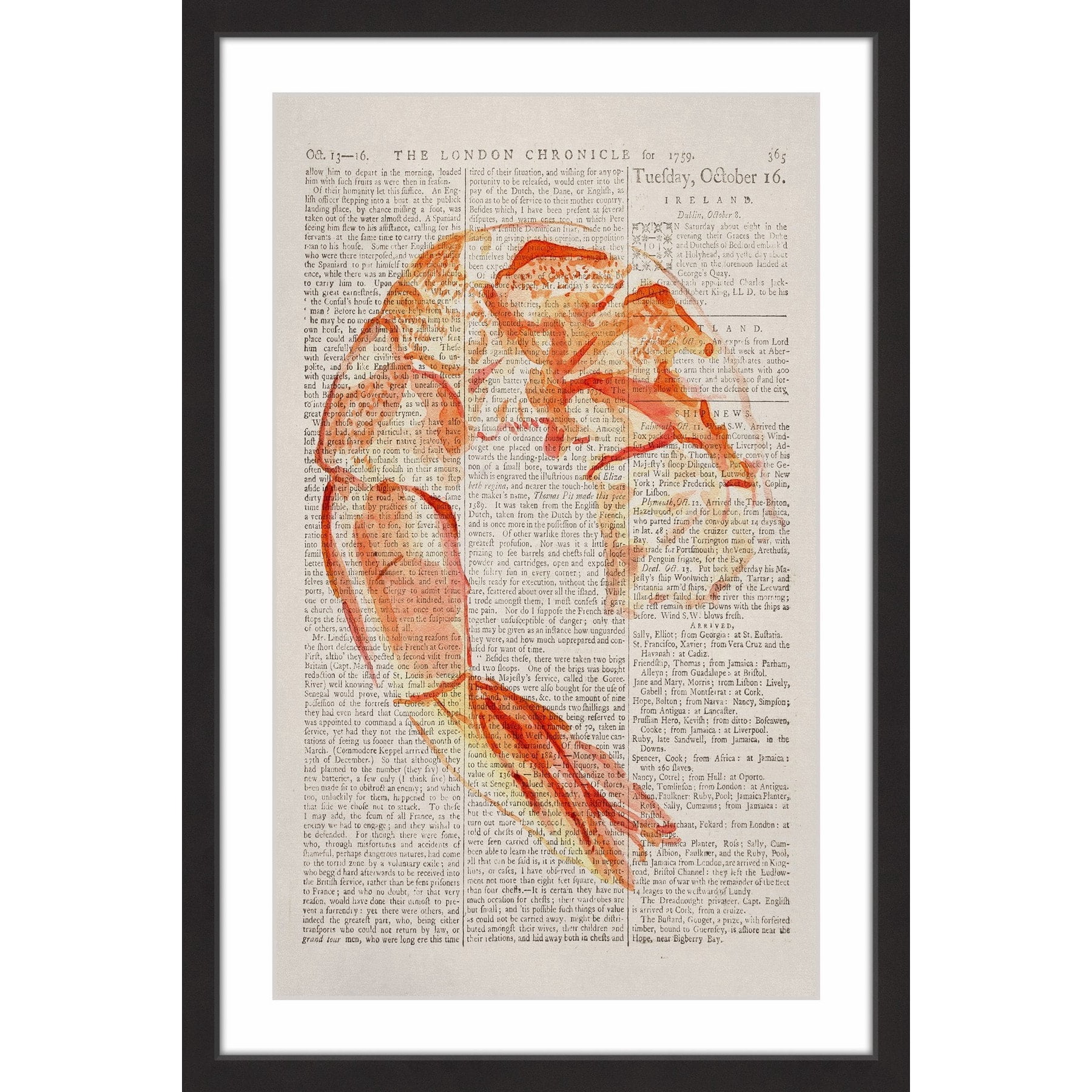 "Historical Crevette" Framed Painting Print