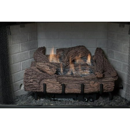 Palmetto Oak 30