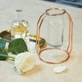 thumbnail image 3 of Geometric Test Tube Vase with Metal Frame, Transparent Glass Planter Hydroponics Decoration, 3 of 6
