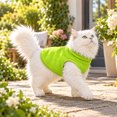 thumbnail image 5 of Dog Sweater with Leash Ring Winter Warm Pet Sweater Thick Clothes Coat Dog Sweaters for Small Medium Dogs Girl Boy, 5 of 6
