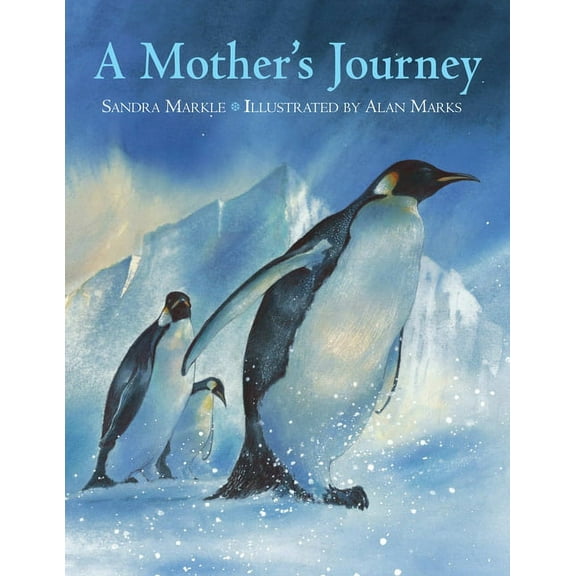 A Mother's Journey (Paperback)