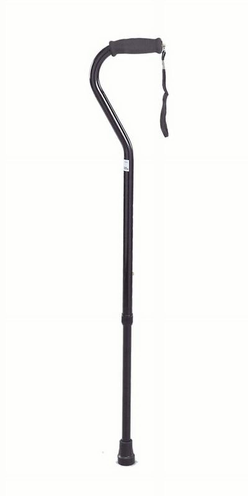 その他 cane 14681e5b-ce52-4b6a-a804-