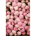thumbnail image 3 of Okula, Carina 11x14 Black Modern Framed Museum Art Print Titled - Peony 2, 3 of 5