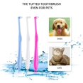 thumbnail image 2 of 3 Pieces Small Pet Toothbrush Tufted Toothbrush End-tuft Toothbrush, 2 of 5