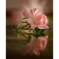 thumbnail image 2 of Cuadros Decorativos Pintura al óleo acrílica por números Flores Reflexión Kit de imagen digital hecho a mano Tmvgtek embutido en tela, 2 of 9