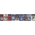 thumbnail image 1 of C&I Collectables CAPITALS919TS NHL Washington Capitals 9 Different Licensed Trading Card Team Set, 1 of 1