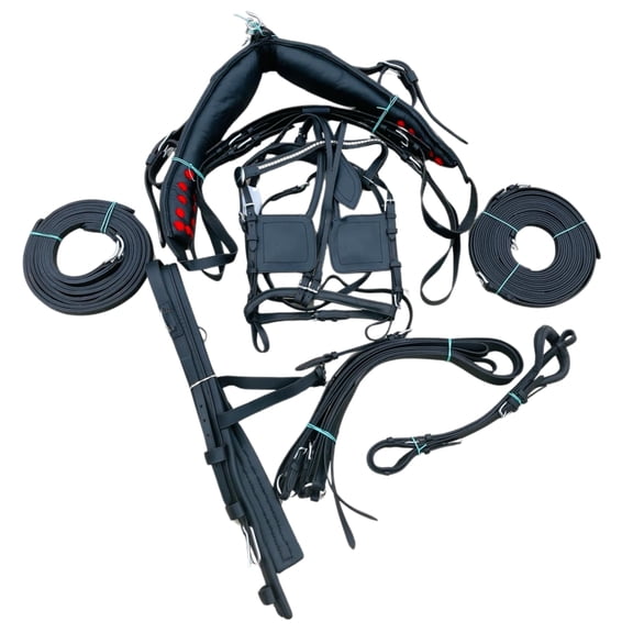 Resistance Pony Regular Horse Driving Harness – Leather, Complete Set with Bridle & Reins, Buckle Fastener – Black & Tan