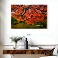 thumbnail image 3 of Elephant Stock Japanese Maple Wall Art - Horizontal Canvas Wall Art - Living Room Wall Decor - Floral And Botanical Canvas - Orange And Brown Decor - 39" x 26", 3 of 8