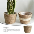 thumbnail image 3 of Arborister Indoor Woven Seagrass Plant Basket with Plastic Liners, 3 of 11