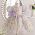 thumbnail image 4 of LADIGASU Girls' SummerShort Sleeve Ruffled Lace Round-Neck Embroidery Mesh Princess Bow Skirt, 4 of 5