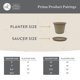 thumbnail image 5 of Platillo para plantas The HC Companies Prima Plastic 36 x 36 x 4,3 cm, 5 of 7