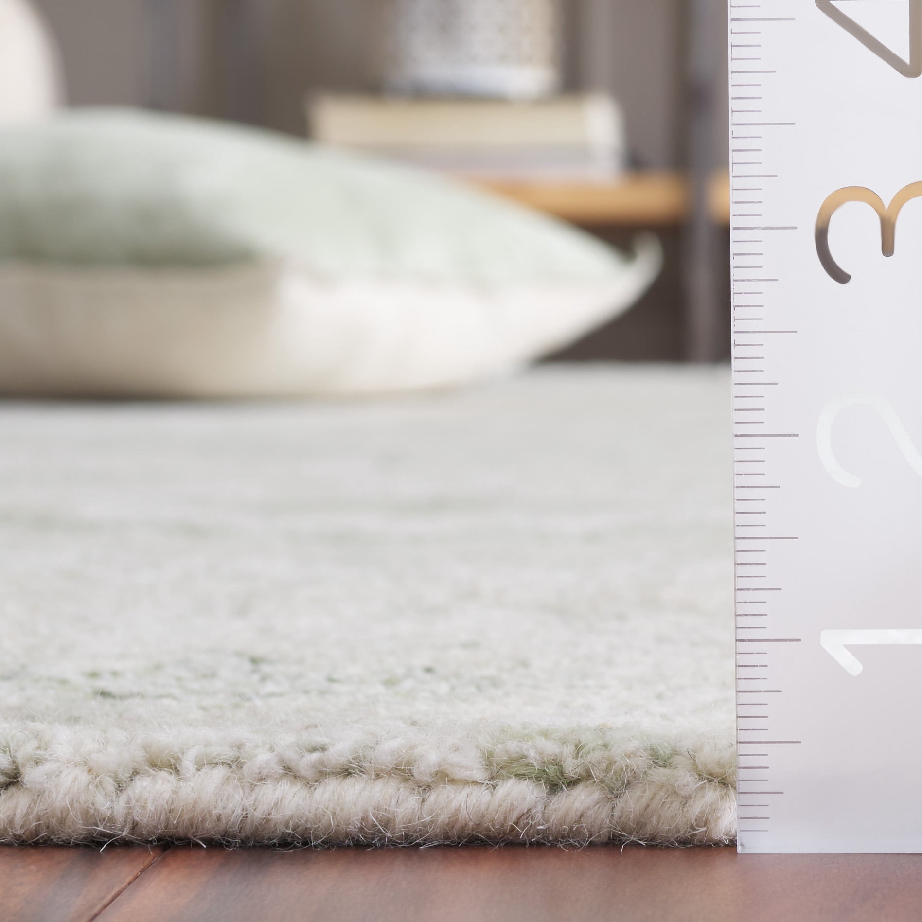 SAFAVIEH Ebony Ibrahim Distressed Area Rug, Ivory/Light Green, 6' x 6' Round