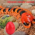 thumbnail image 3 of Durable Haute Simulation Petit Centipede Centipede Jouet Rc Centipede Rc Jouet pour Enfants, 3 of 7