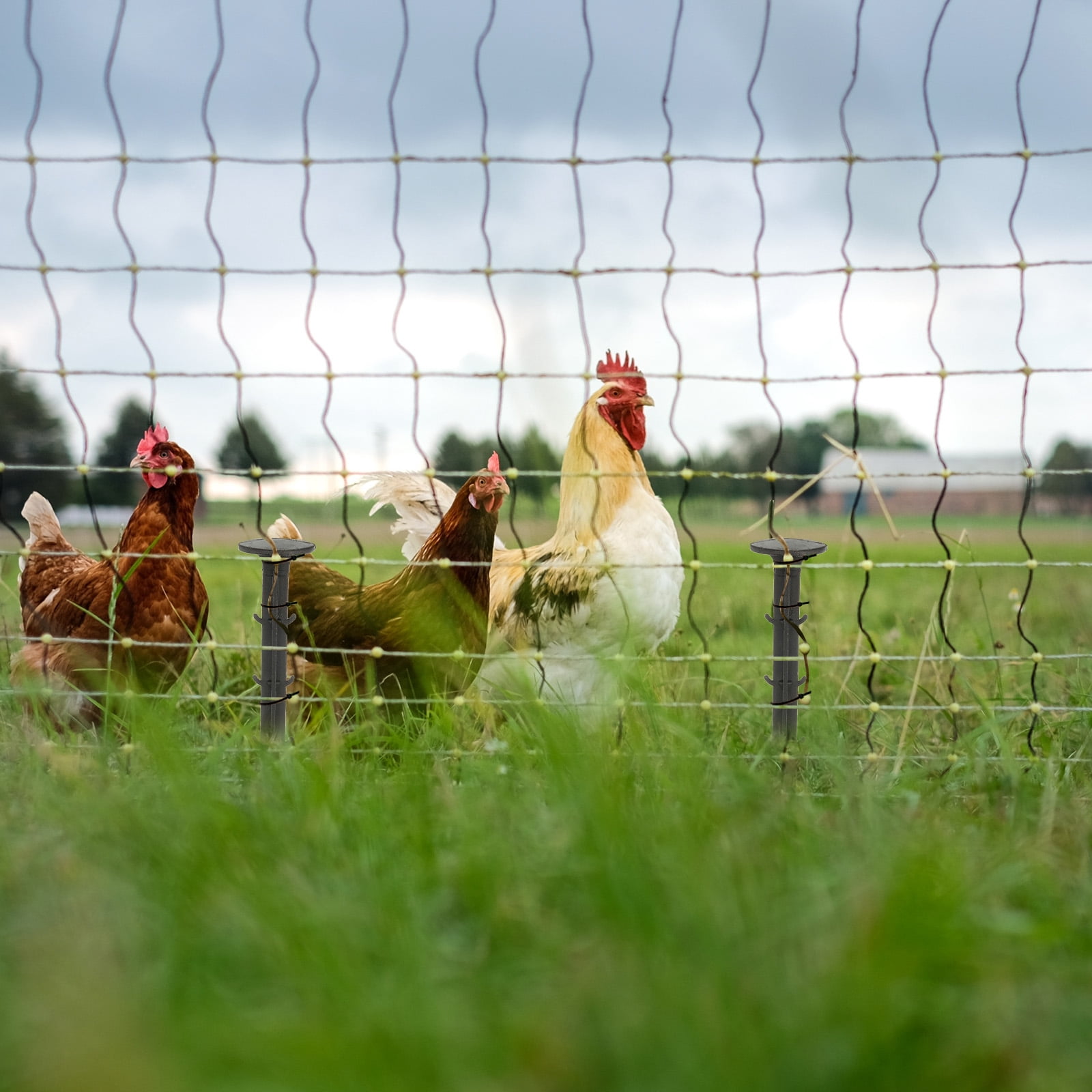 1Set Bird Netting for Chicken Coop 25 x 99 Feet Garden Netting with 0.8" Square Mesh Nylon Chicken Wire Mesh Garden Fence