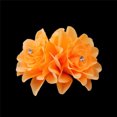 thumbnail image 6 of SPRING PARK Women Double Flower Hairpin Bridal Hair Clip Rose Flower Wedding Party Accessory, 6 of 8