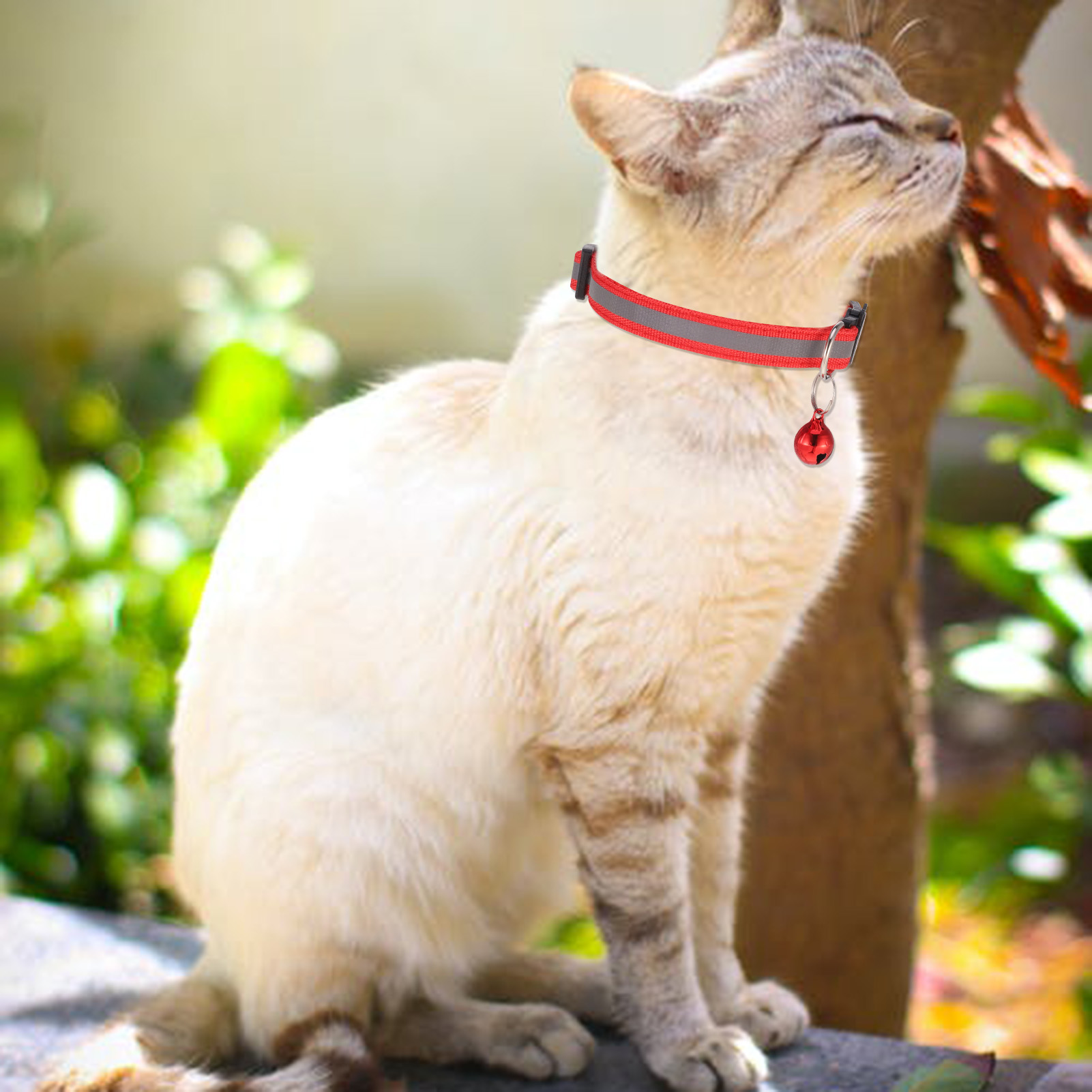 AOWOO Reflective Cat Collar with Bell 12-Pack photo 6
