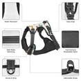 thumbnail image 4 of Dog Harness, Dachshund Dog Puppy No.1043 No Pull Pet Harness Dog Leash, Step-in Dog Vest Harness, No Choke Reflective Adjustable Puppy Vest for Small Medium Large Dogs, 4 of 6