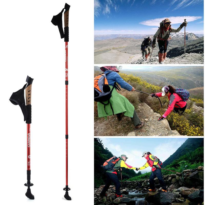 nordic walking sticks walmart