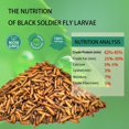 thumbnail image 2 of Alimento para Mascotas Hatortpet Larvas Secas de Mosca Soldado Negra 4.5 kg, 2 of 6