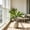 C, variant on 1Pc Multi Color Artificial Cordyline Fruticosa Branch, Lifelike Faux Greenery Stem, Decorative Plant Twig, for Indoor Outdoor Home Floral Arrangement & Vase Decor