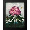 thumbnail image 2 of Thornton, Robert John 15x18 Black Modern Framed Museum Art Print Titled - The Pontic Rhododendron from The Temple of Flora, 2 of 5