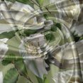 thumbnail image 7 of Ambesonne Floral Valance & Curtain, Art of Innocent White Roses, 55"x45", Olive Green Ivory and Emerald, 7 of 7