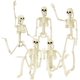 thumbnail image 1 of Decoraciones de esqueleto de Halloween de 36 pulgadas, esqueleto posable de Halloween de 3 pies, huesos de cuerpo humano realistas de plástico con articulaciones móviles para decoración de fiesta de H, 1 of 4