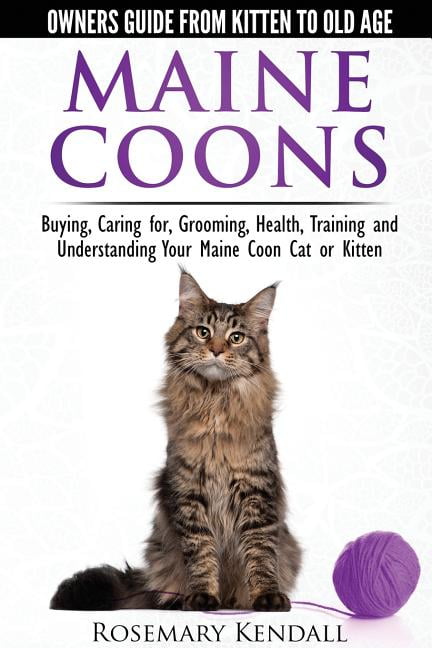 Maine Coon Cats: The Owners Guide from Kitten to Old Age : Buying ...