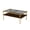 Gray, variant on Glass Coffee Table for Living Room,Modern 2-Layer Rectangle Center Table Tea Table with Metal Legs,Golden
